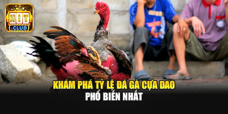 Khám phá tỷ lệ đá gà cựa dao phổ biến nhất