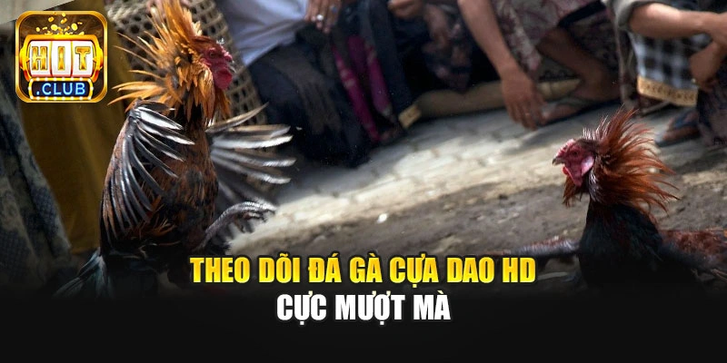 Theo dõi đá gà cựa dao HD cực mượt mà